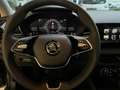 Skoda Fabia 1.0 TSI Essence,Sitzheiz,GRA,PDC,LED-SW Grau - thumbnail 12