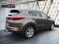 Kia Sportage Vision 2WD Brun - thumbnail 13
