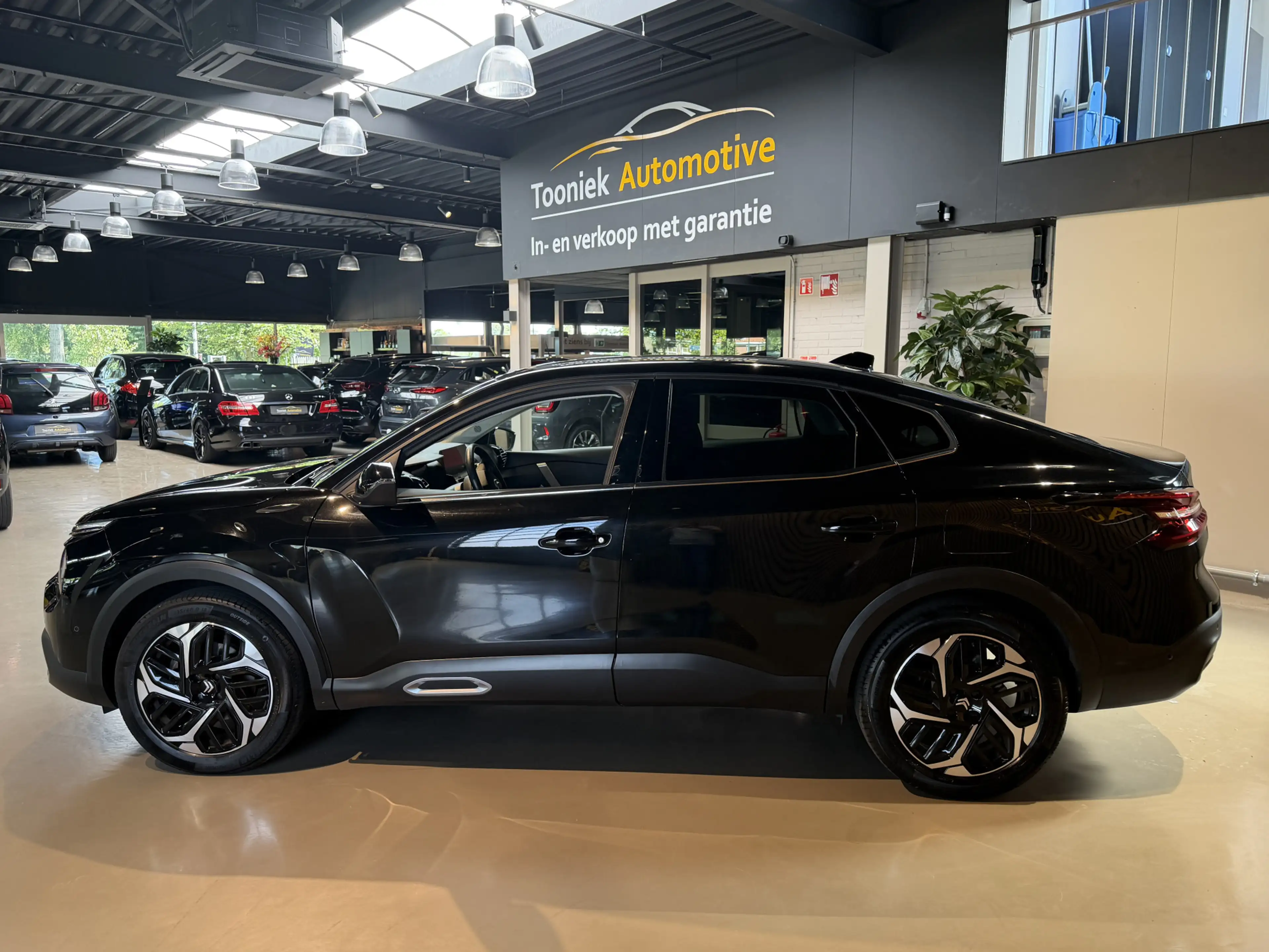 Citroen C4 X 1.2 Puretech Shine — photo 6