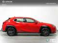 Lexus UX 250h Business 2WD Piros - thumbnail 17