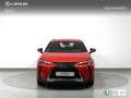 Lexus UX 250h Business 2WD Rojo - thumbnail 5