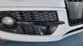 Audi Q5 3.0 V6 tdi Advanced Plus quattro 258cv s-tronic Bianco - thumbnail 15