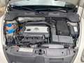 Volkswagen Maggiolino Maggiolino 2.0 tsi Sport dsg Wit - thumbnail 7