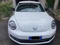 Volkswagen Maggiolino Maggiolino 2.0 tsi Sport dsg Wit - thumbnail 5