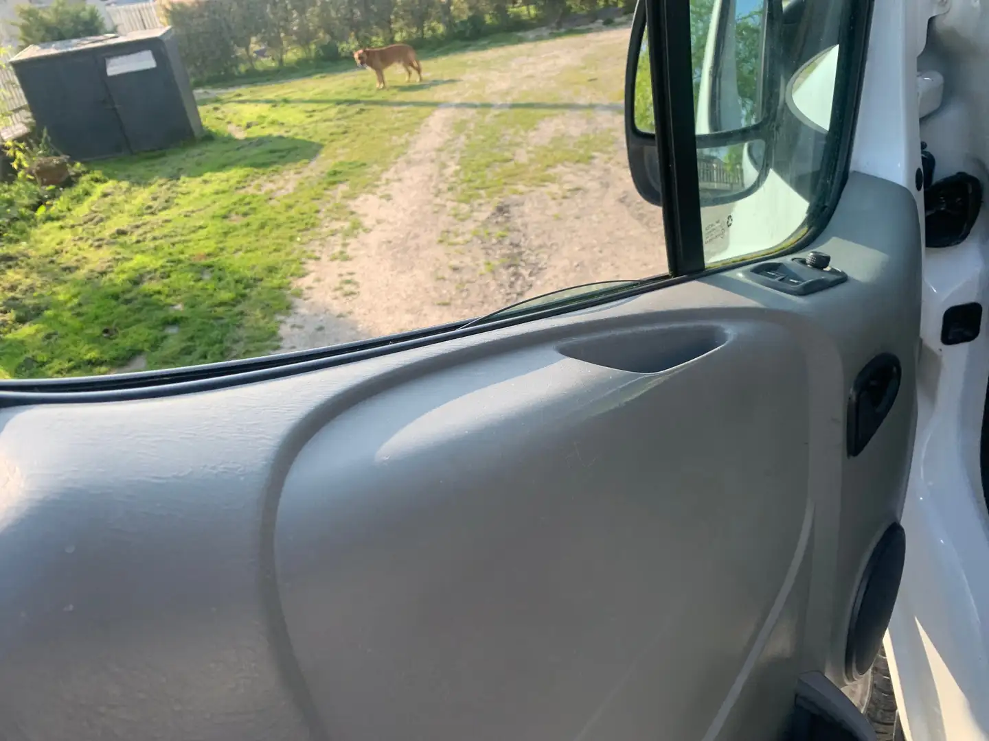 Renault trafic Blanc - 2