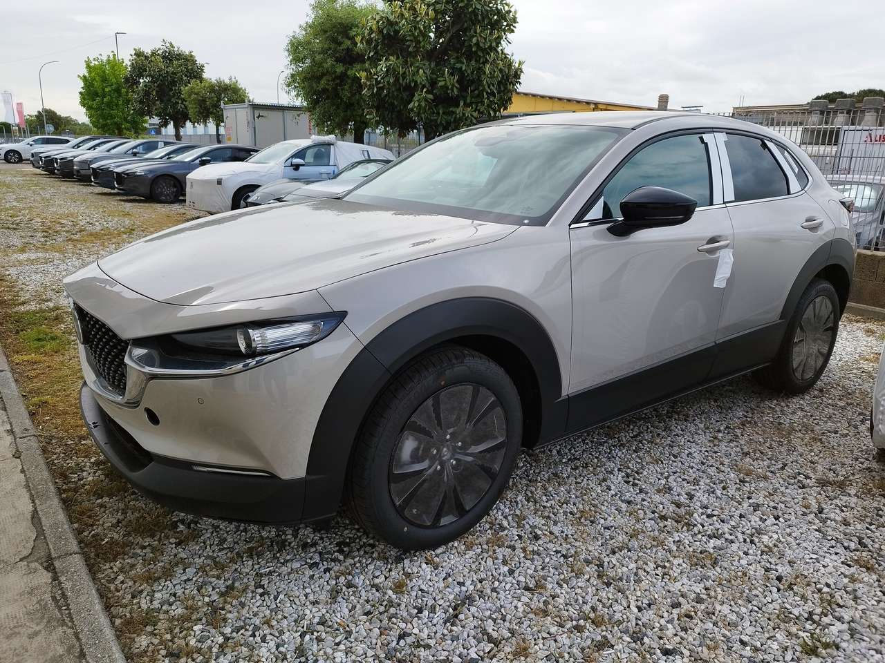 Mazda CX-30 2.5 m-hybrid Homura portel.elettr2wd 140cv 6mt