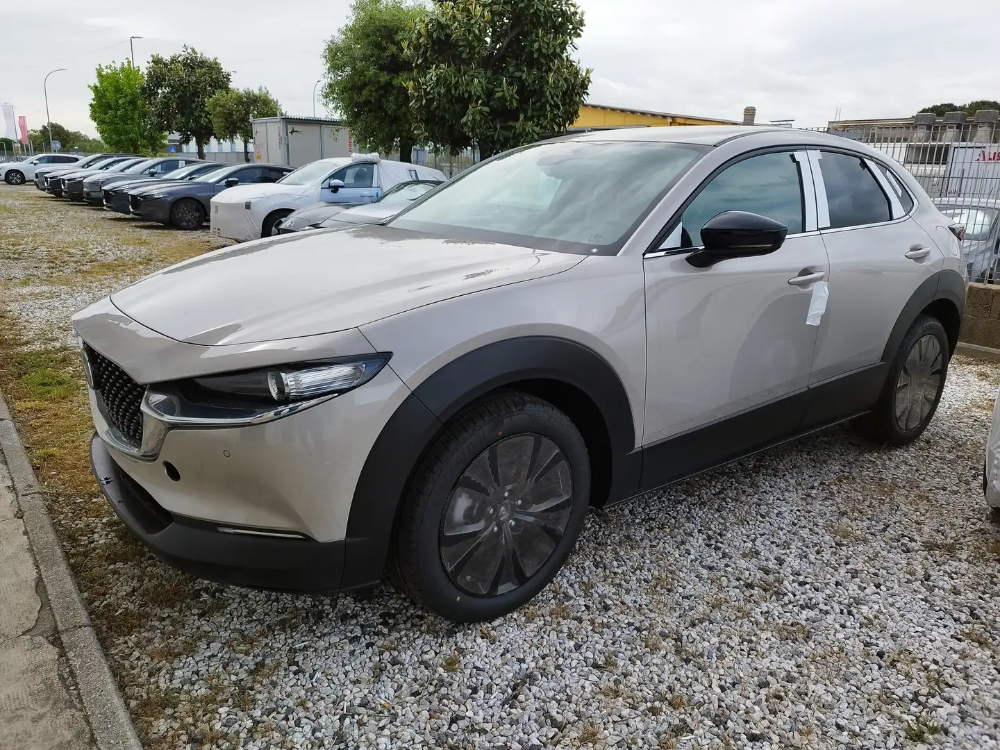 Mazda CX-30 2.5 m-hybrid Homura portel.elettr2wd 140cv 6mt Bronze - 1