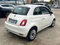 Fiat 500 1.3 MTJ 95CV LOUNGE TETTO CRUISE BLUETOOTH C15" Weiß - thumbnail 4