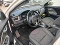 Kia Niro 1.6 GDi Híbrido Enchufable 104kW Drive Blanc - thumbnail 9