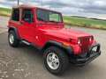 Jeep Wrangler YJ 4.2 L  OLD TIMER Rouge - thumbnail 14