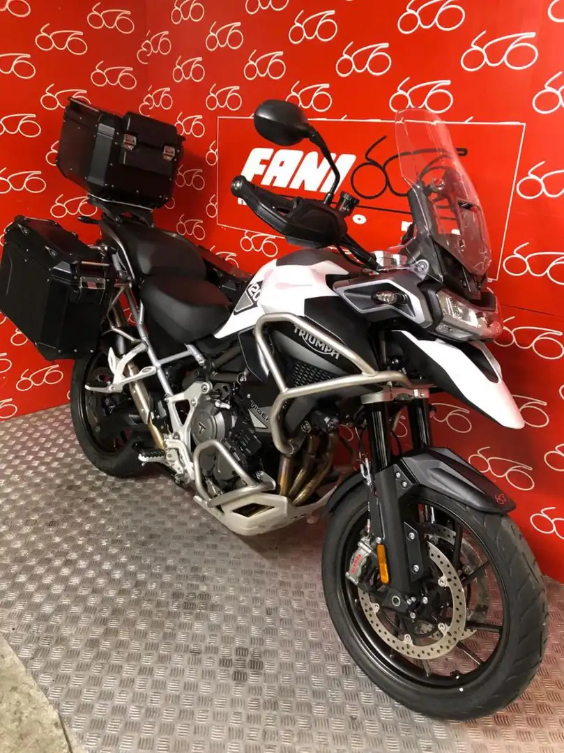 Triumph Tiger 1200 GT Pro Bianco - 2