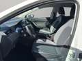 SEAT Ibiza Style 1.0 TSI Sitzheizung Weiß - thumbnail 11