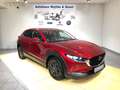 Mazda CX-30 Edition 100 180 PS X*Leder*Bose* Rosso - thumbnail 2