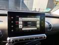 Citroen C4 Cactus 1.2 PureTech Business Plus Navigatie panorama dak Grijs - thumbnail 11