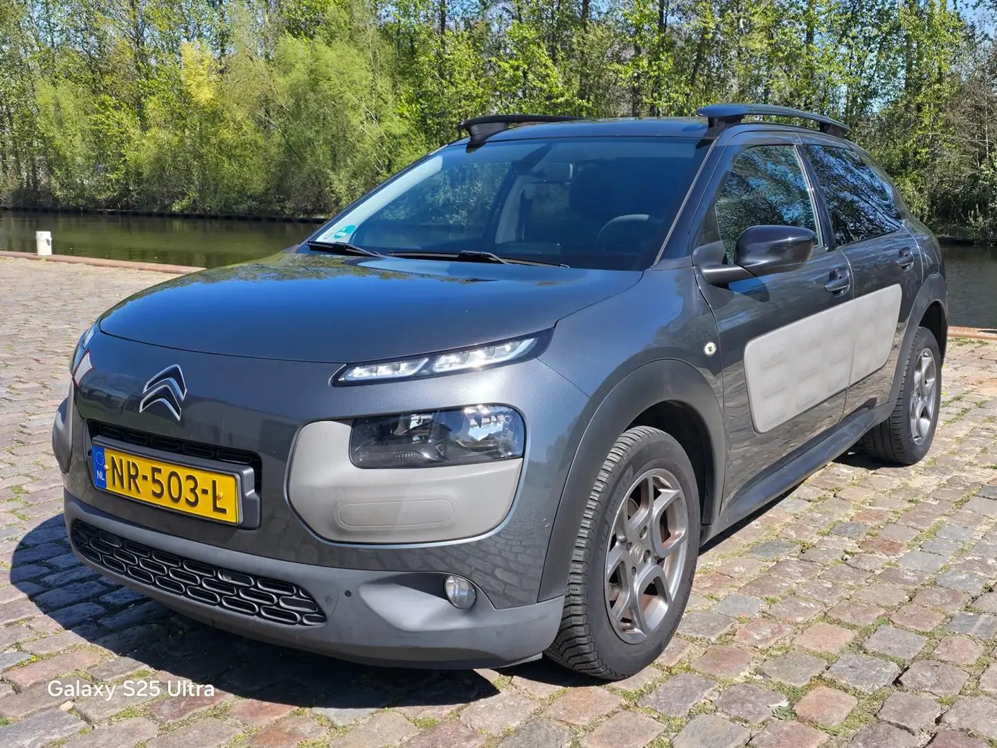 Citroen C4 Cactus 1.2 PureTech Business Plus Navigatie panorama dak Grijs - 2