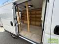 Fiat Ducato FG (250) L1H1 Fourgon 2.2 MJT 16V 140 cv Blanc - thumbnail 13