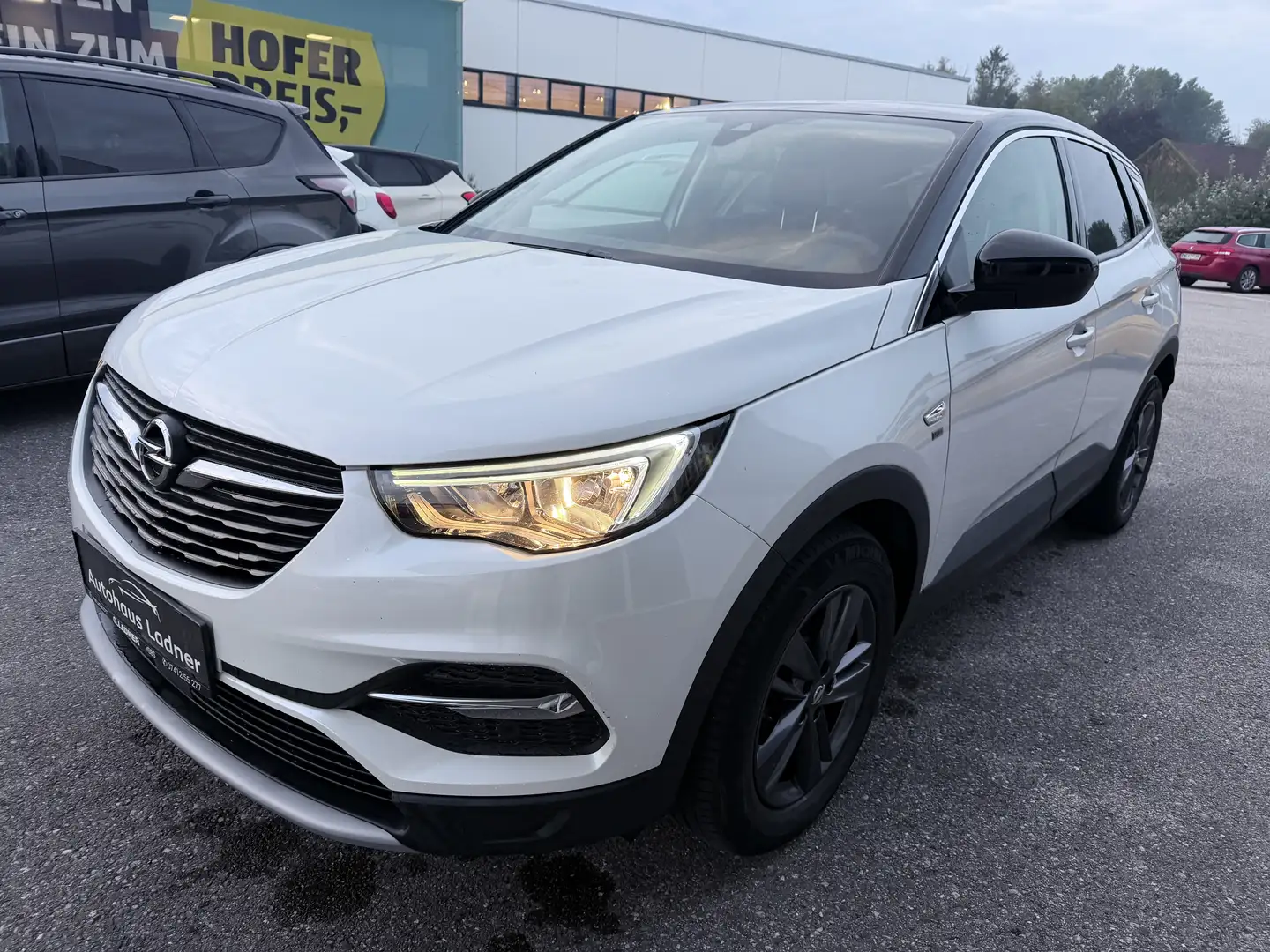 Opel Grandland X Blue Injection 120 Weiß - 1
