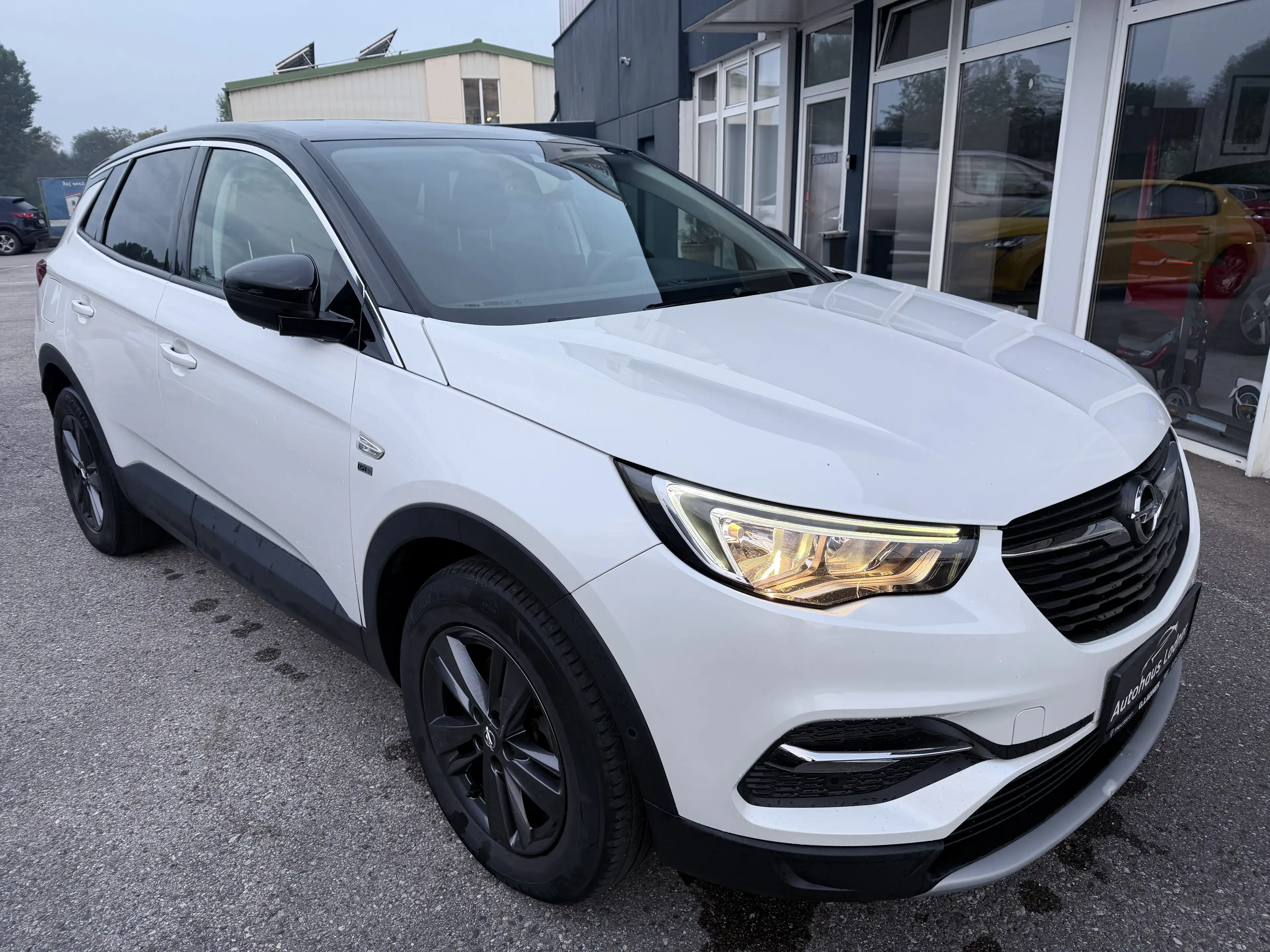 Opel Grandland X Blue Injection 120 — photo 3