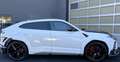 Lamborghini Urus S Bílá - thumbnail 8
