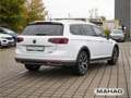Volkswagen Passat Alltrack Passat Variant Alltrack 4 Mot 2.0 TDI AHK IQ.Lig Weiß - thumbnail 7
