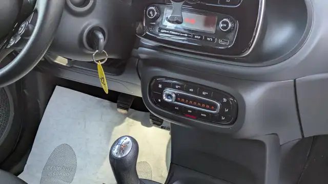 Smart Forfour view 11