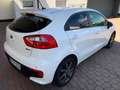 Kia Rio Rio 1.4 Dream Team Edition White - thumbnail 3