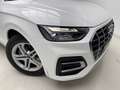 Audi Q5 35 TDI Advance S tronic 120kW Blanco - thumbnail 14