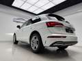 Audi Q5 35 TDI Advance S tronic 120kW Blanco - thumbnail 15