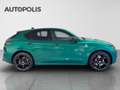 Alfa Romeo Stelvio 2.2 Vert - thumbnail 6