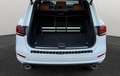 Volkswagen Touareg V6 TDI BMT EditionX*Memory*Keyless*360°* Weiß - thumbnail 6