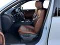 Volkswagen Touareg V6 TDI BMT EditionX*Memory*Keyless*360°* Weiß - thumbnail 11