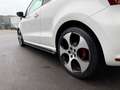 Volkswagen Polo GTI 1.4 TSI DSG/PANORAMA/MAXTON/VOLO-H Wit - thumbnail 5