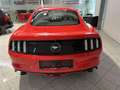 Ford Mustang 2,3 EcoBoost Rot - thumbnail 4