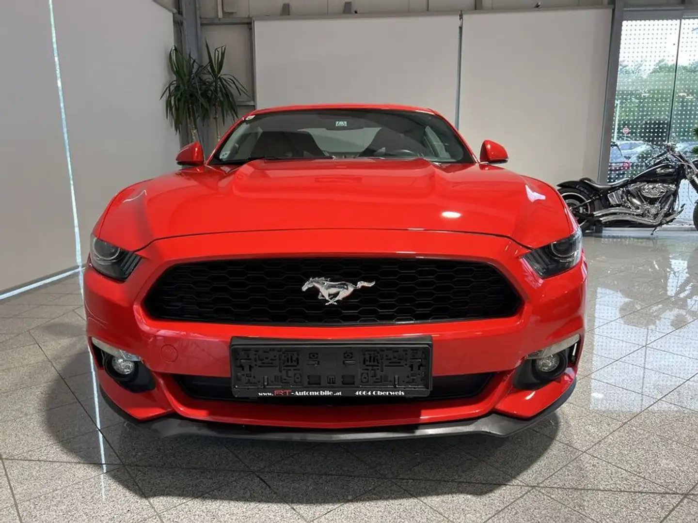 Ford Mustang 2,3 EcoBoost Rot - 2