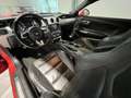 Ford Mustang 2,3 EcoBoost Rot - thumbnail 8