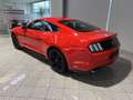 Ford Mustang 2,3 EcoBoost Rot - thumbnail 3