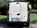 Fiat Doblo Doblò Cargo 1.9 multijet frizione messo a nuovo Bianco - thumbnail 6