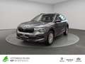 Skoda Kamiq Essence 1.0 TSI DSG LED + AHK + SHZ Grau - thumbnail 1