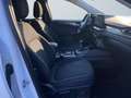 Ford Kuga 1.5 EcoBoost Titanium ACC PDC KAM360 LED Blanco - thumbnail 10