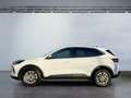 Ford Kuga 1.5 EcoBoost Titanium ACC PDC KAM360 LED Blanco - thumbnail 3