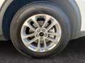 Ford Kuga 1.5 EcoBoost Titanium ACC PDC KAM360 LED Blanco - thumbnail 15
