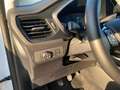Ford Kuga 1.5 EcoBoost Titanium ACC PDC KAM360 LED Blanco - thumbnail 17
