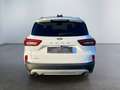 Ford Kuga 1.5 EcoBoost Titanium ACC PDC KAM360 LED Blanco - thumbnail 5