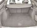 Audi Q5 35 TDI S tronic S line Plus Grigio - thumbnail 11