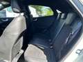 Ford Puma 1.0 EcoBoost Hybrid ST-LINE X Grau - thumbnail 10