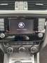 Skoda Octavia 2.0 tdi cr Executive - thumbnail 13