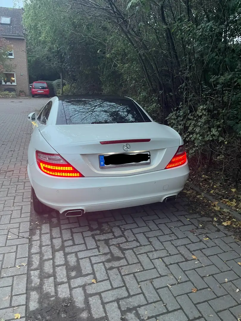 Mercedes-Benz SLK 200 SLK 200 BlueEfficiency (172.448) -Diamantweiß Weiß - 1
