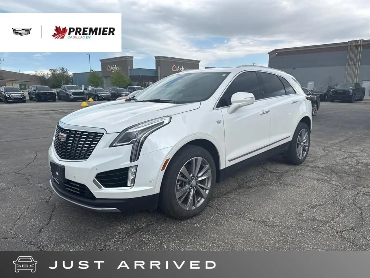2024 Cadillac XT5