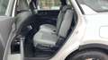 Kia Sorento 1.6 T-GDI HEV DRIVE AUTO 2WD 215CV 5P 7 Plazas Weiß - thumbnail 13