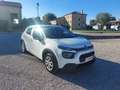 Citroen C3 N1 Business 1.5cc 100 CV E6 S&S Bianco - thumbnail 3